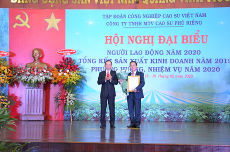 Năng suất vườn cây Cao su Phú Riềng dẫn đầu VRG